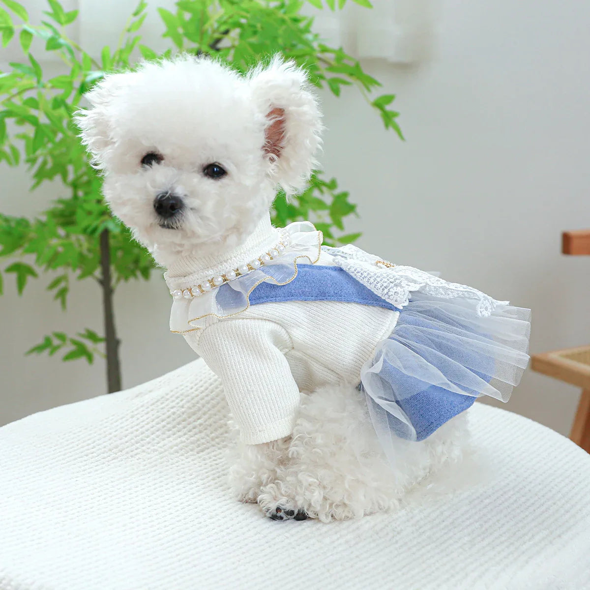 1PC Pet Apparel Dog Spring and Autumn Blue Bow Pendant Lace Princess Dress With Drawstring Buckle For Small Medium Dogs