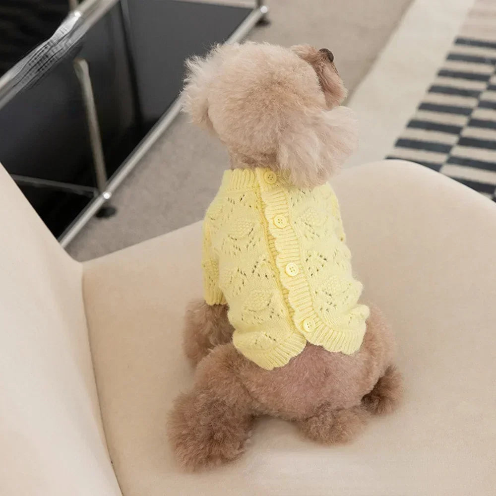 Autumn Winter Pet Knitted Cardigan Soft Cute Arctic Fleece Sweater Cardigan Pet Clothes Cat and Dog Clothing Teddy Bear Coat